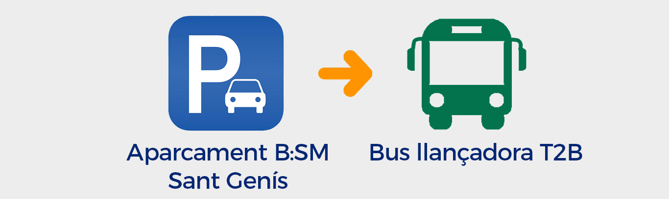 bsm