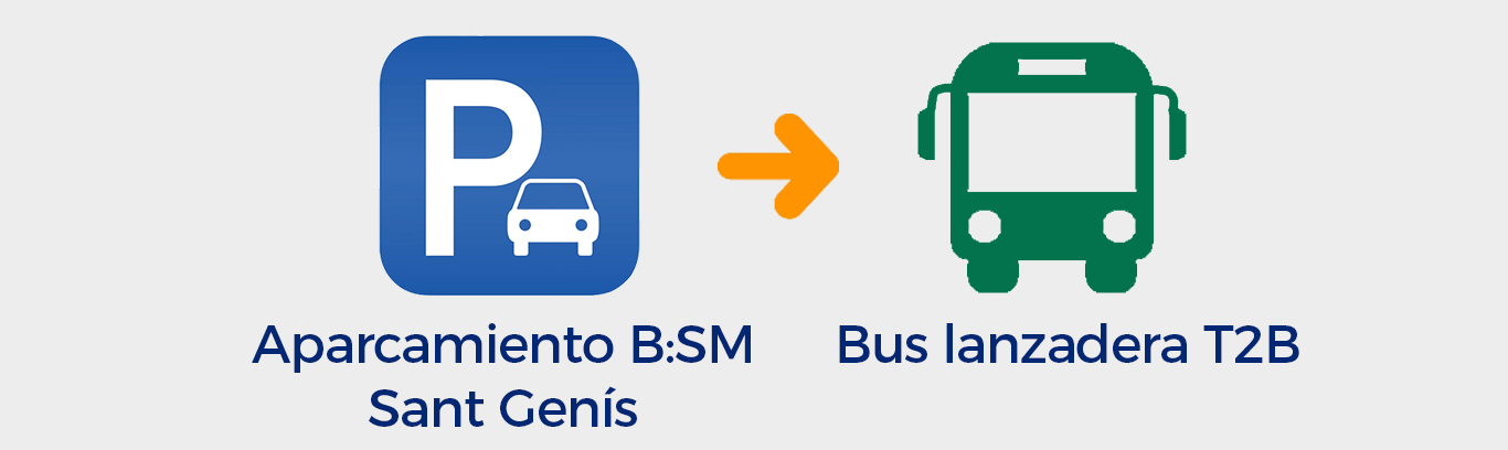 BSM