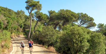 Collserola